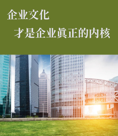 成都青羊八宝九龙医院多科室联合诊疗模式与个性化治疗方案解析